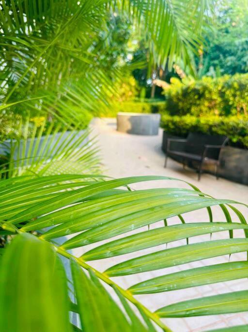 Alpaca Sky View Patong Apartment Ngoại thất bức ảnh