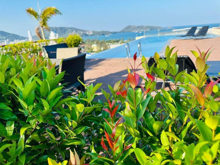 Alpaca Sky View Patong Apartment Ngoại thất bức ảnh